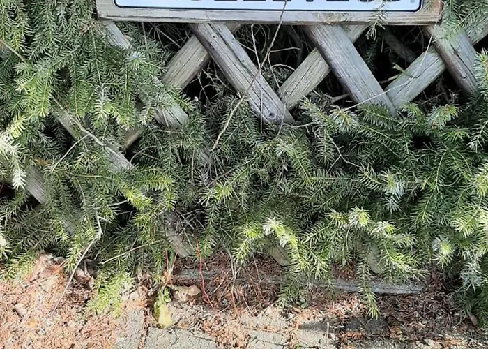 Auszeit-orketal Medebach